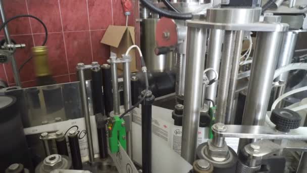 Linea di imbottigliamento e sigillatura presso la fabbrica della cantina — Video Stock