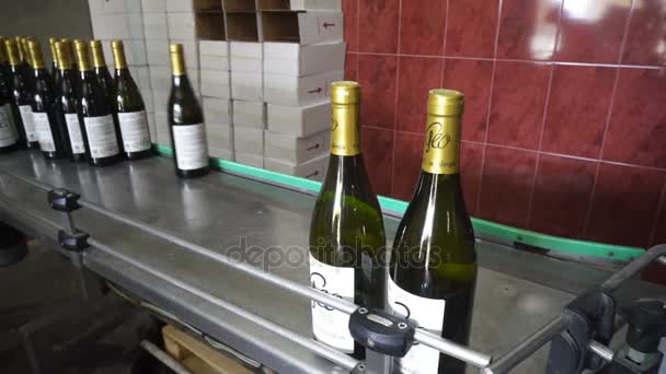 Bottelen en afdichten van lopende lijn in winery fabriek — Stockvideo