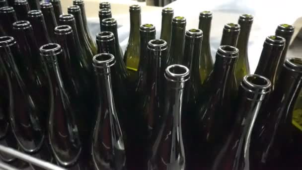 Linha de transporte de engarrafamento e vedação na fábrica da vinícola — Vídeo de Stock