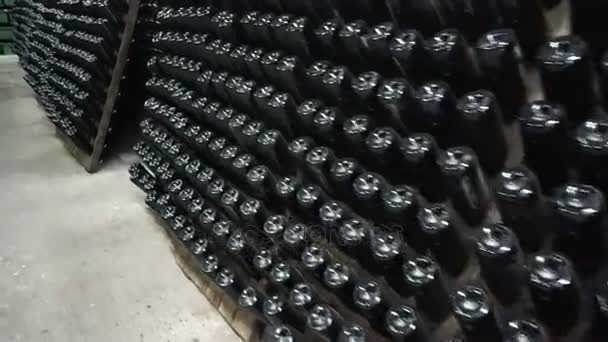 Empilés de vieilles bouteilles de vin dans la cave — Video