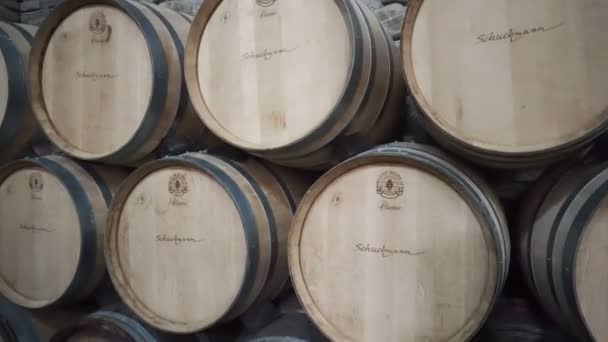 Barricas de vino apiladas en la antigua bodega de la bodega — Vídeo de stock