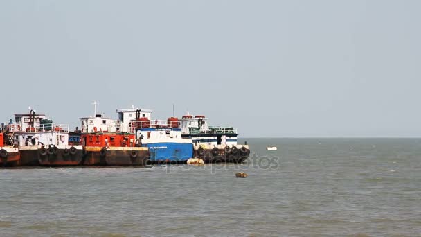 Barcos Pesqueros Comerciales Con Base Puerto — Vídeo de stock