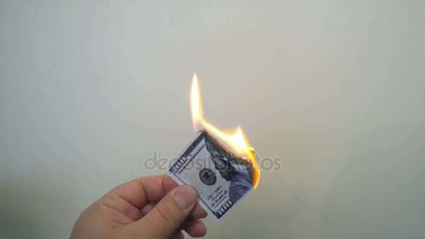 Hand holding a burning hundred dollar banknote — Stock Video