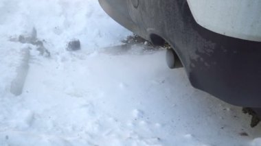 Zehirli gazlar atmosferi kirleten bir araba, egzoz borusuna üzerinde bitmiştir.