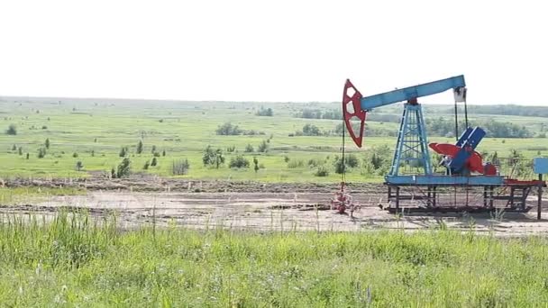 Industria del petróleo y el gas. Trabajo del gato de la bomba de aceite — Vídeos de Stock