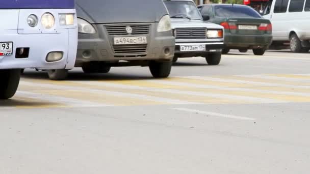 Wolgograd Russische Föderation Mai 2015 Autos Auf Einem Zebrastreifen — Stockvideo