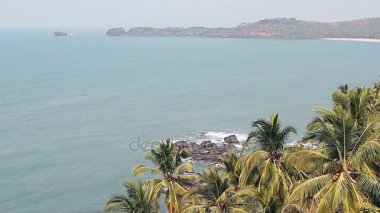 Palmiye ağaçları olan güzel bir sahil