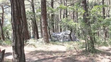 Turizm Kampanyasında Sırt çantalı Güzel Genç Kız