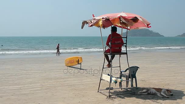 Lifeguard on the Palolem beach — Stock Video