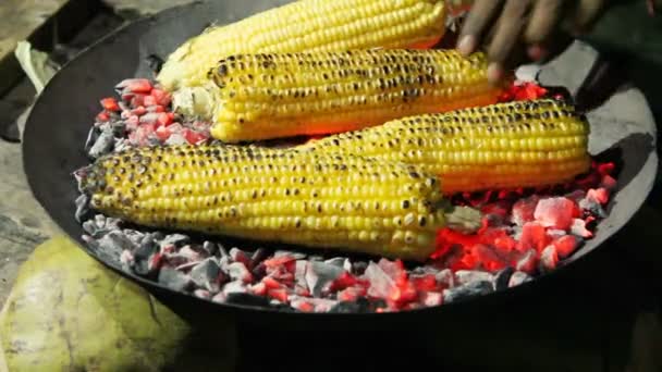 Смажена кукурудза на вугіллі в темряві крупним планом — стокове відео