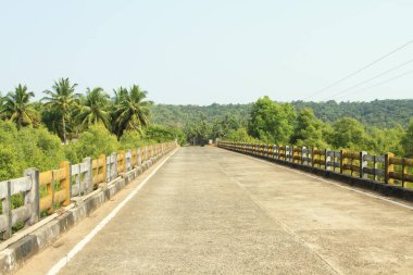 Tropikal bir köprü üzerinde boş yol