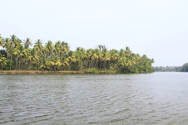 Tropical river at sunny day