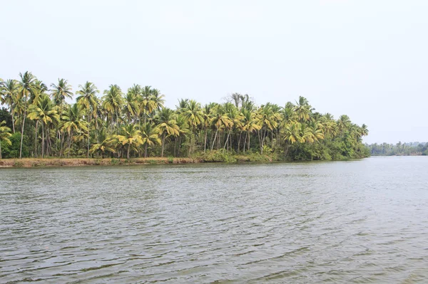 Tropical River Sunny Day — Stock Photo, Image