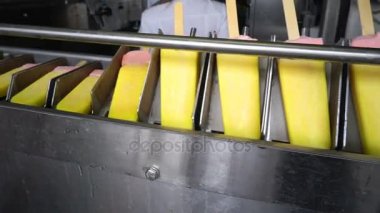 Konveyör otomatik satırları dondurma imalatı için