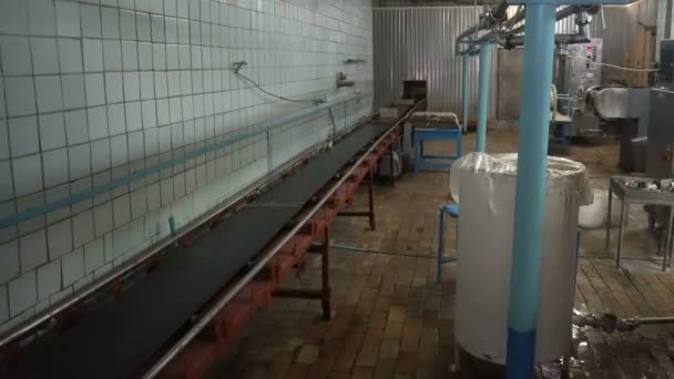 Boîtes en carton sur bande transporteuse en usine — Video