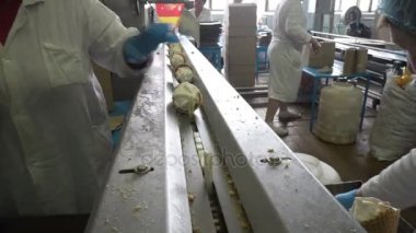Konveyör otomatik satırları dondurma imalatı için