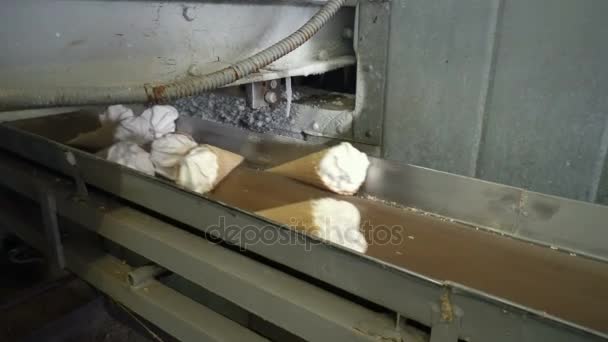 The conveyor automatic lines for the production of ice cream — Stock Video