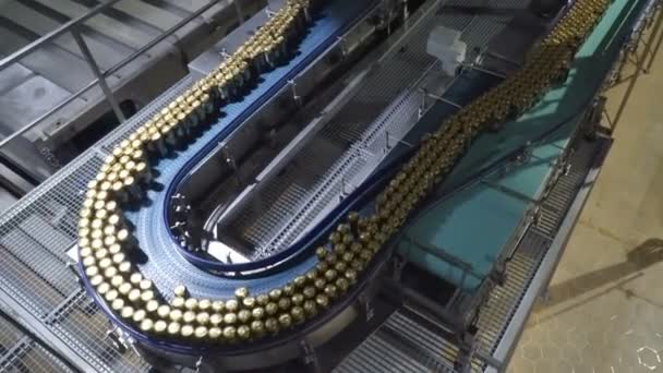 Modern conveyor for beer bottling machine — Stock Video