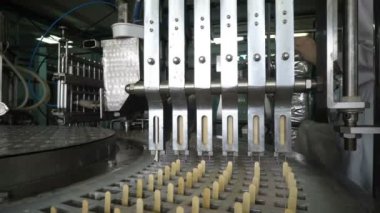 Konveyör otomatik satırları dondurma imalatı için