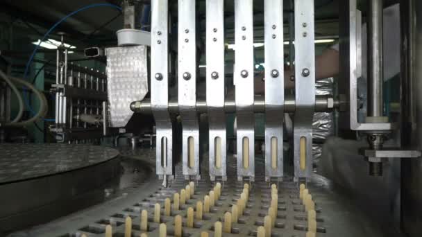 生产冰淇淋的传送带自动生产线 — 图库视频影像