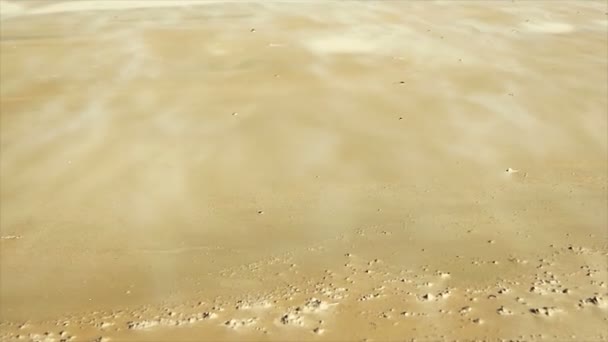 Vinden Flytta Sand Öken Dune — Stockvideo