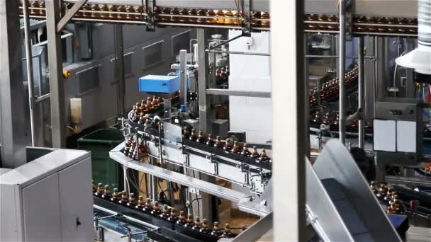 Plastic Water Bottles Conveyor Water Bottling Machine — Stock Video