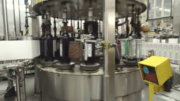 Macchina Che Applica Francobolli Accisa Prodotti Vitivinicoli Distilleria Linea Imbottigliamento — Video Stock