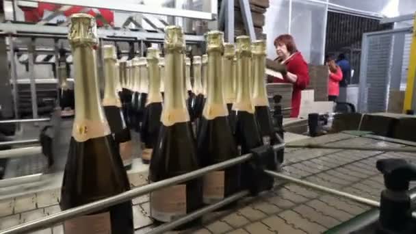Sennoy 俄罗斯联邦 2018年2月15日 酿酒厂瓶装和密封输送线 — 图库视频影像