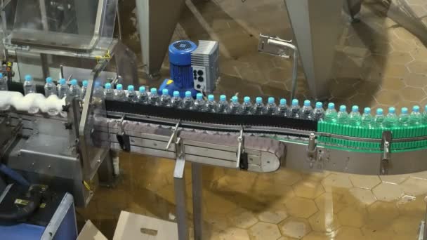 Water Bottle Conveyor Industry — Stock Video