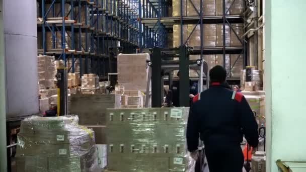 2018年2月14日 俄罗斯联邦Sennoy 叉车在现代仓库的货架上装纸板箱的工作 — 图库视频影像