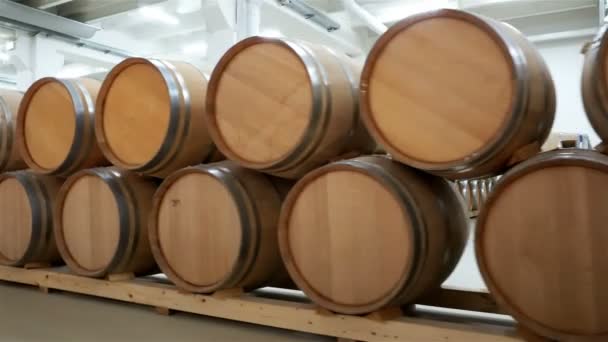 Wijnvaten Gestapeld Oude Kelder Van Wijnmakerij — Stockvideo