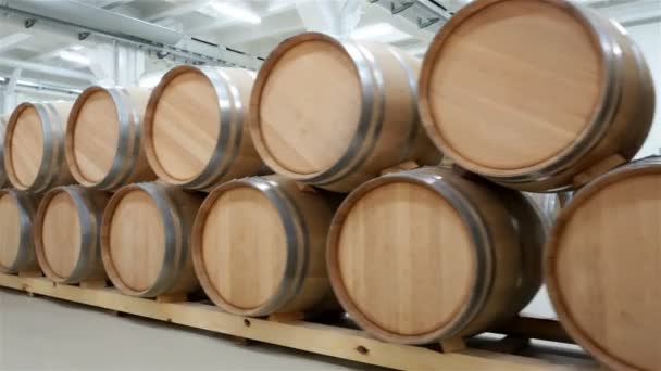 Wine Barrels Stacked Old Cellar Winery — Stock Video