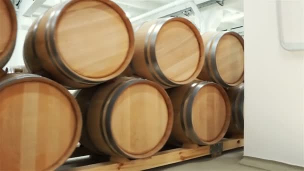 Weinfässer Stapeln Sich Alten Keller Des Weinguts — Stockvideo
