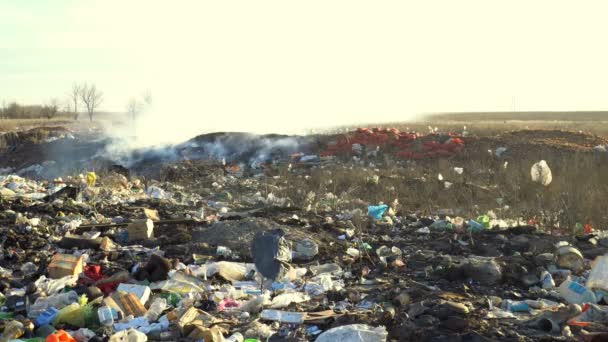 Grandi Rifiuti Discarica Con Fumo Nella Giornata Sole — Video Stock