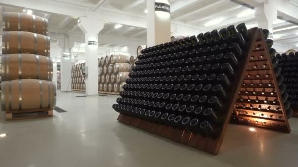 Apiladas Viejas Botellas Vino Bodega — Vídeo de stock