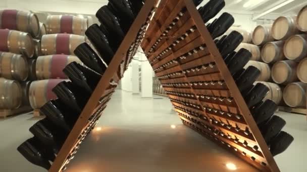 Empilhados Garrafas Vinho Velhas Adega — Vídeo de Stock
