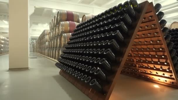 Stacked Old Wine Bottles Cellar — Stock Video