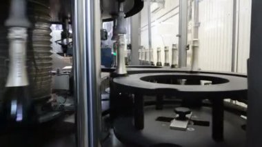 Şişeleme ve Konveyör hattı şarap Fabrikası'nda mühürleme