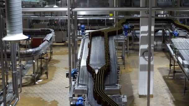 Bier Fabriek Interieur Met Een Heleboel Machines — Stockvideo