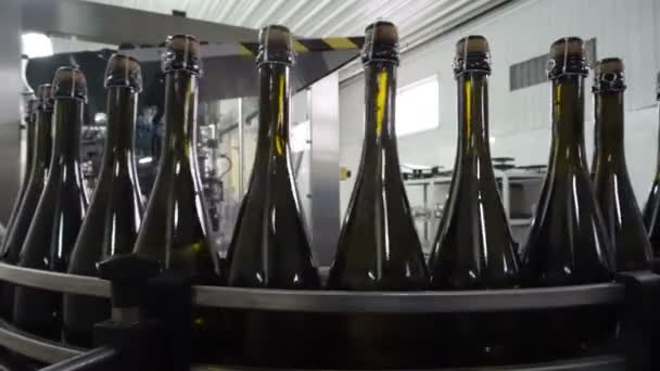 Línea Transportadora Embotellado Sellado Fábrica Bodegas — Vídeo de stock