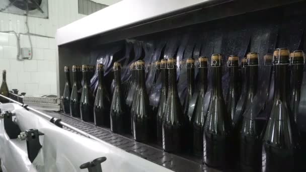 工厂内的瓶子清洗生产线和香槟酒输送机装瓶 — 图库视频影像