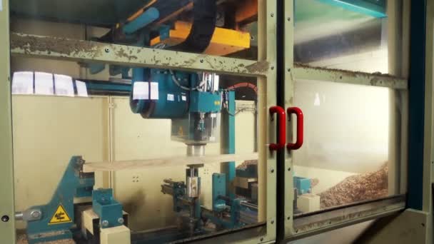 Moagem Painel Madeira Uma Máquina Moderna Trabalhar Madeira — Vídeo de Stock