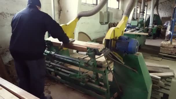 Sennoy Federacja Rosyjska Lutego 2018 Szlifowanie Drewnianego Panelu Nowoczesnej Maszynie — Wideo stockowe