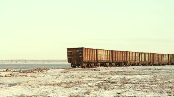 Stare Zardzewiałe Wagony Kolejowe Stalaktytami Soli Nad Jeziorem — Wideo stockowe