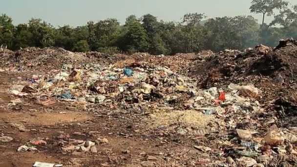 Grandi Rifiuti Discarica Con Fumo Nella Giornata Sole — Video Stock