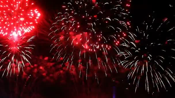 Fuochi Artificio Colorati Durante Notte Vacanza — Video Stock