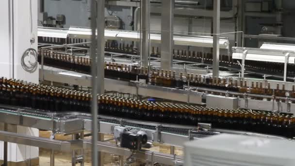 Εσωτερικό Εργοστάσιο Μπύρας Πολλά Μηχανήματα — Αρχείο Βίντεο