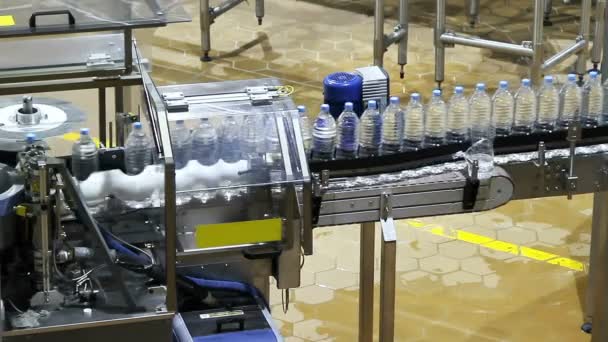 水のボトル コンベア業界 — ストック動画
