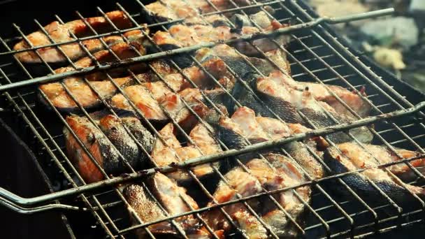 Verse Zalm Vis Grillen Van Stokken — Stockvideo