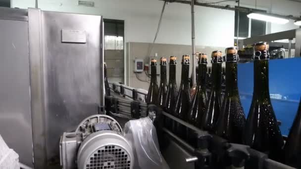 Linea Imbottigliamento Sigillatura Presso Fabbrica Della Cantina — Video Stock